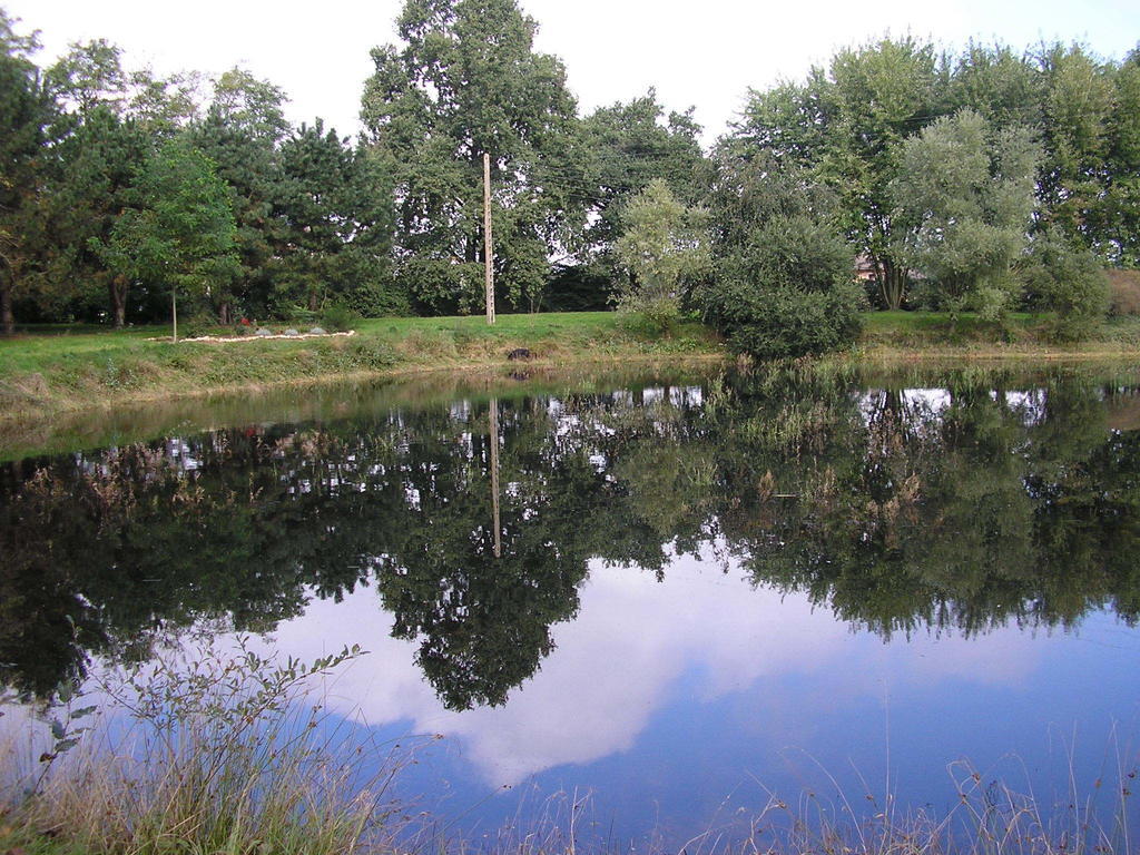 Отель Domaine De La Belliere Виллар-ле-Домб Экстерьер фото